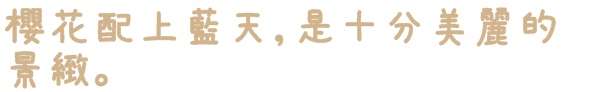 花園新城：【新北◍•ᴗ•◍新店】捷運新店站✯賞櫻景點・花園新城賞櫻｜猶如踏入靜岡熱海，寒櫻滿滿的賞櫻聖地