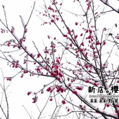 新店獅仔頭山。賞櫻與雪