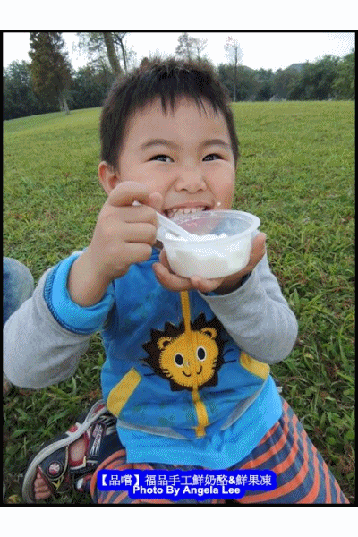【品嚐】秉持天然、健康為宗旨的《福品手工鮮奶酪&鮮果凍》