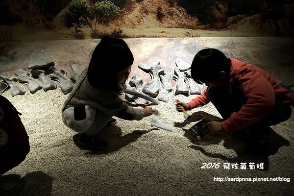 IMG_2127.JPG IMG_2127.JPG