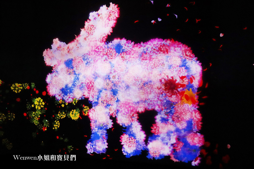 2021-2022台北展覽teamLab台灣 未來遊樂園與花共生的動物們 (26).JPG