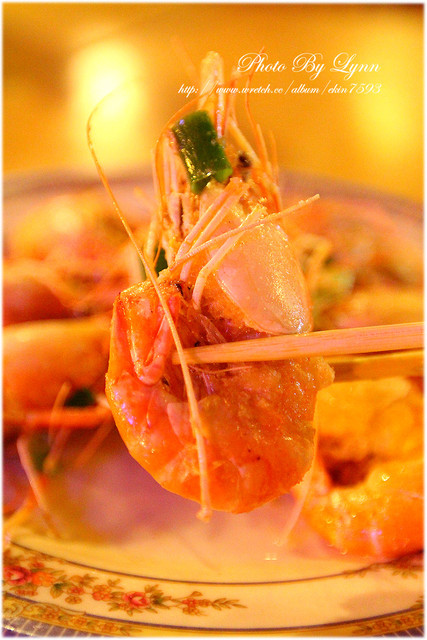 快來！蝦兒活跳跳×新鮮蝦子在這裡【黃金海岸活蝦之家】台中店