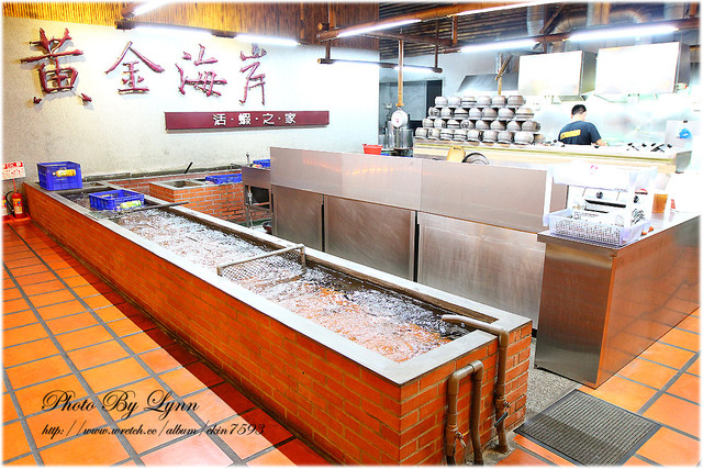 快來！蝦兒活跳跳×新鮮蝦子在這裡【黃金海岸活蝦之家】台中店