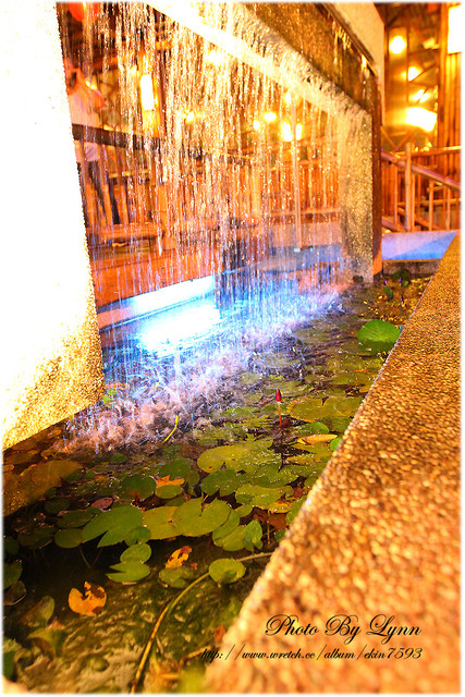 快來！蝦兒活跳跳×新鮮蝦子在這裡【黃金海岸活蝦之家】台中店