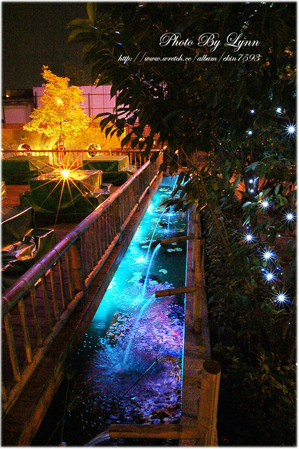 快來！蝦兒活跳跳×新鮮蝦子在這裡【黃金海岸活蝦之家】台中店