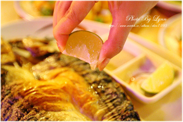 快來！蝦兒活跳跳×新鮮蝦子在這裡【黃金海岸活蝦之家】台中店