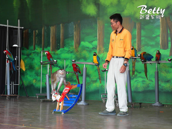 20180512頑皮動物園 (71).jpg