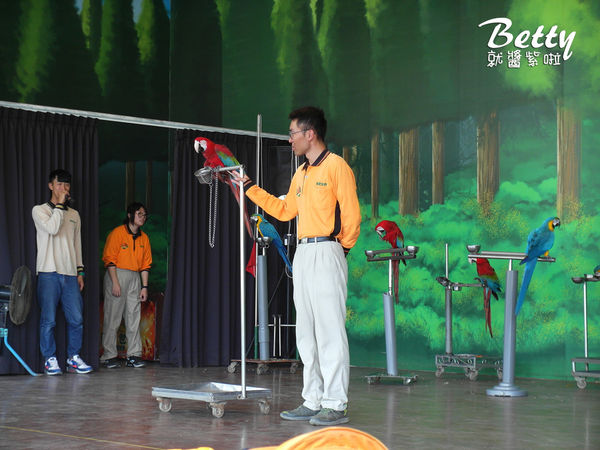 20180512頑皮動物園 (68).jpg