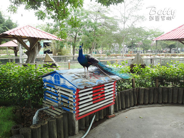 20180512頑皮動物園 (7).jpg