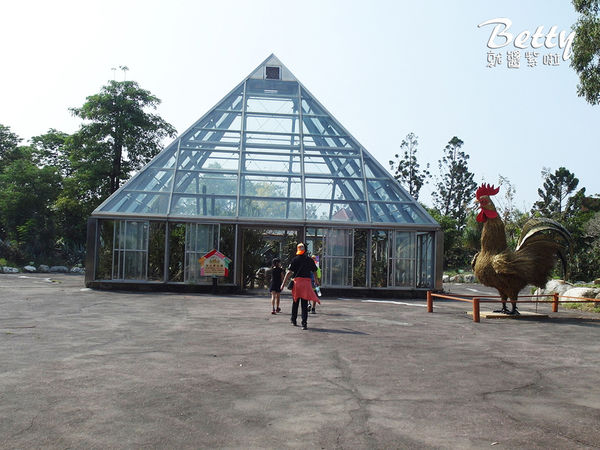 20180512頑皮動物園 (79).jpg