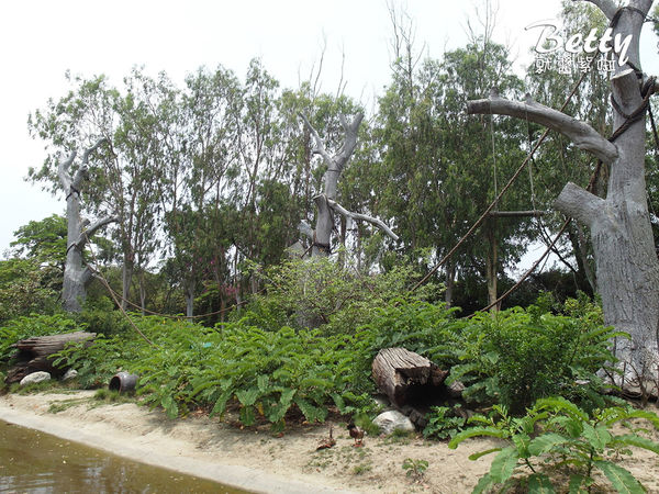 20180512頑皮動物園 (18).jpg