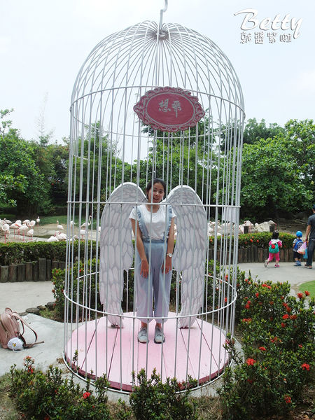 20180512頑皮動物園 (16).jpg