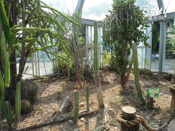 20180512頑皮動物園 (85).jpg