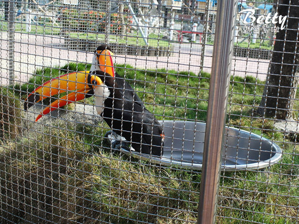 20180512頑皮動物園 (91).jpg