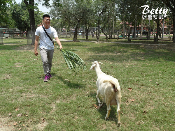 20180512頑皮動物園 (46).jpg