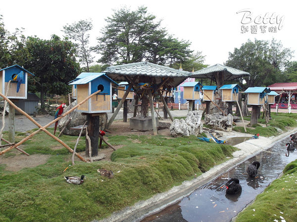 20180512頑皮動物園 (6).jpg