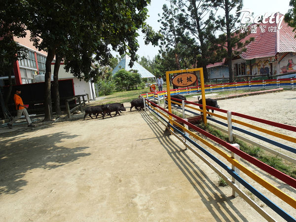 20180512頑皮動物園 (72).jpg