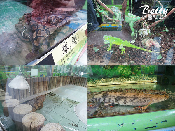 20180512頑皮動物園 (28).jpg