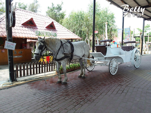20180512頑皮動物園 (65).jpg