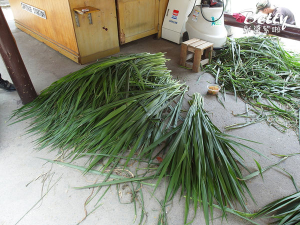 20180512頑皮動物園 (39).jpg