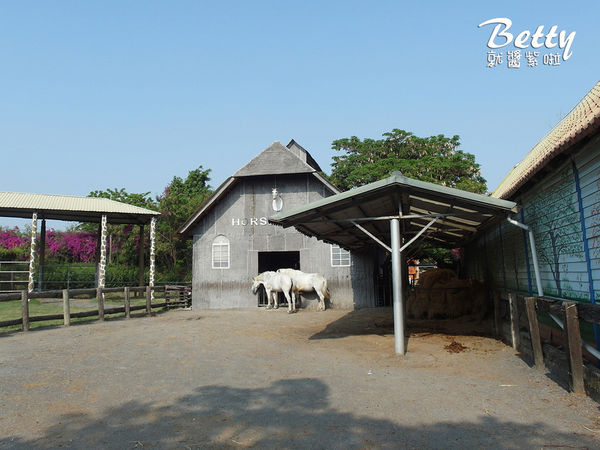 20180512頑皮動物園 (89).jpg