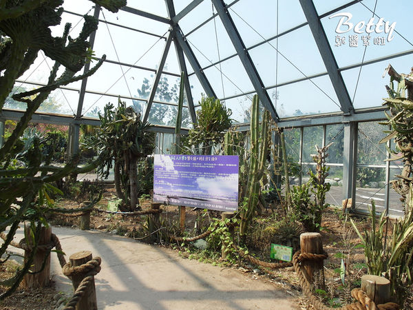 20180512頑皮動物園 (84).jpg