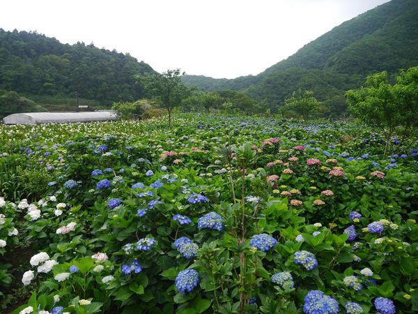 tn_P1260806.JPG tn_P1260806.JPG