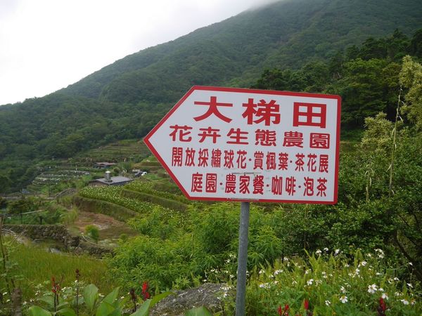 tn_P1260807.JPG tn_P1260807.JPG