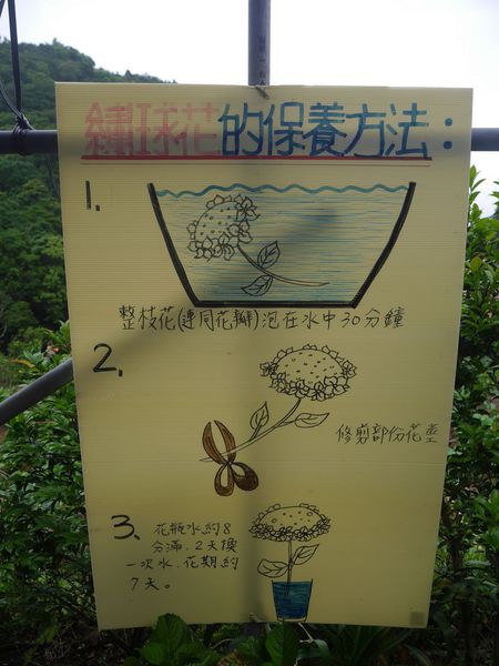 tn_P1260821.JPG tn_P1260821.JPG