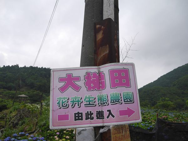 tn_P1260804.JPG tn_P1260804.JPG