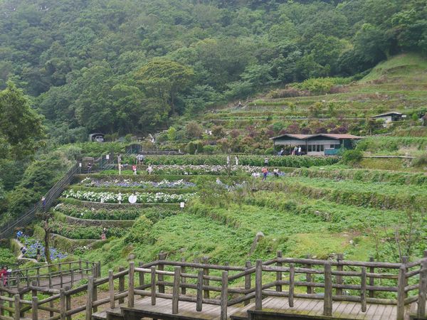 tn_P1260810.JPG tn_P1260810.JPG