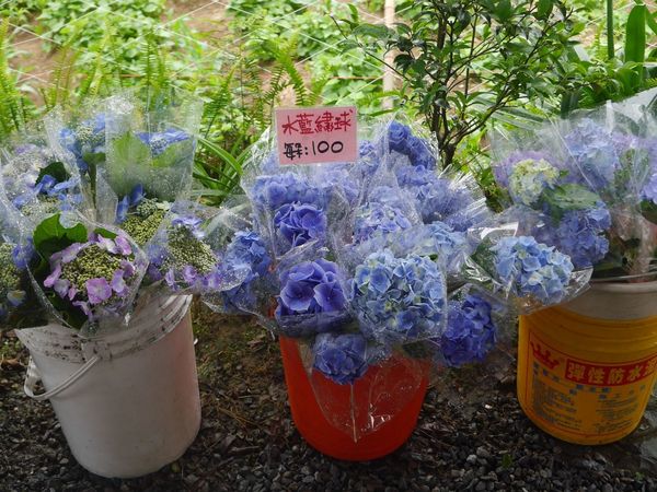 tn_P1260820.JPG tn_P1260820.JPG