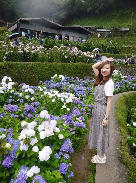 tn_IMG_7370.JPG tn_IMG_7370.JPG