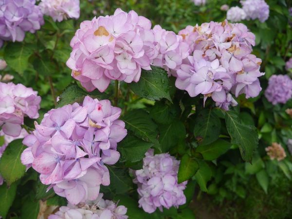 tn_P1260844.JPG tn_P1260844.JPG