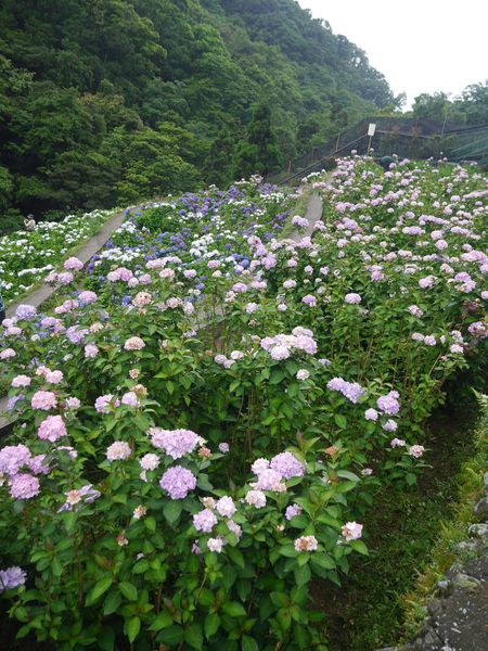 tn_P1260828.JPG tn_P1260828.JPG