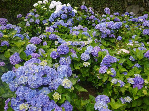 tn_P1260886.JPG tn_P1260886.JPG