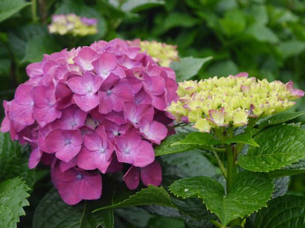 tn_P1260825.JPG tn_P1260825.JPG