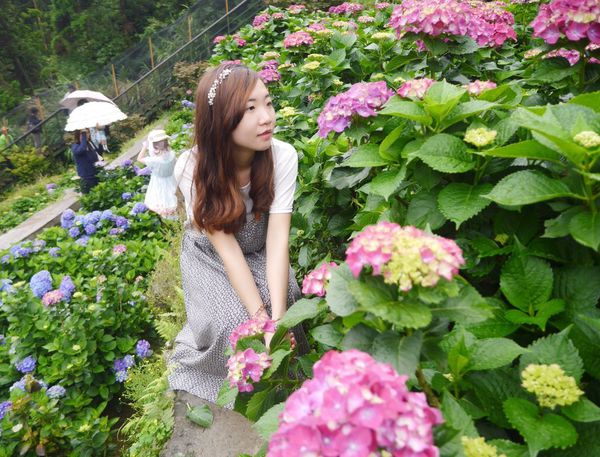 tn_IMG_7355.JPG tn_IMG_7355.JPG