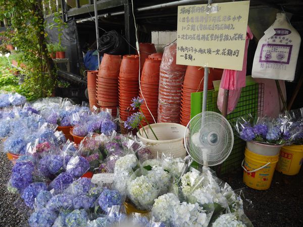 tn_P1260818.JPG tn_P1260818.JPG