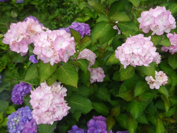 tn_P1260897.JPG tn_P1260897.JPG