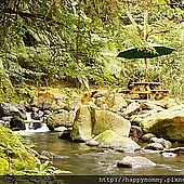 陽明山賞櫻 平等里櫻花巷 (28)