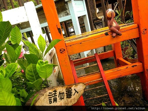 [吃喝]上山閱讀。