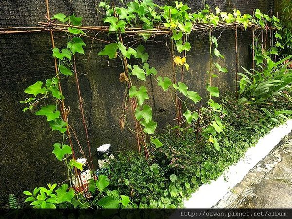 [吃喝]上山閱讀。