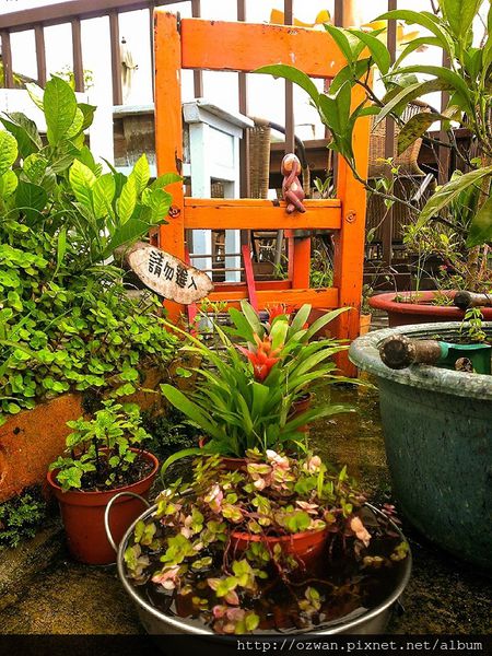 [吃喝]上山閱讀。