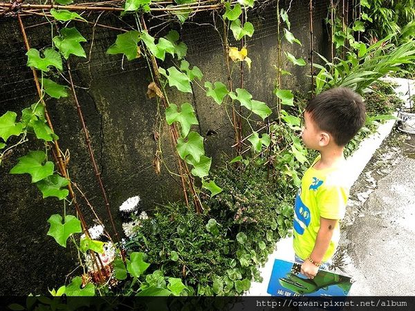 [吃喝]上山閱讀。