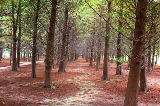台北市中山區My灶｜必比登推薦餐廳，吃過最貴的滷肉飯!台灣家庭味的私房料理~