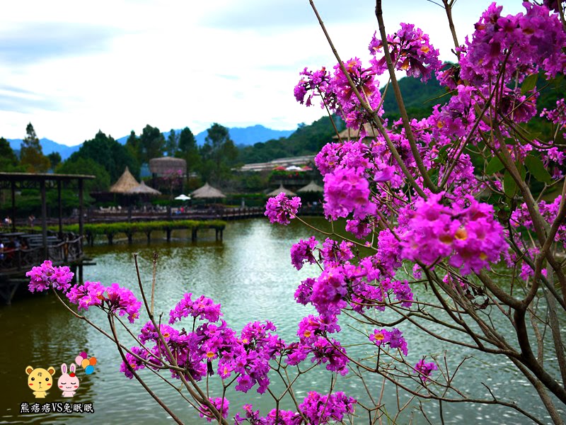 【台中新社古堡花園】只適合拍照不適合遊玩的景點