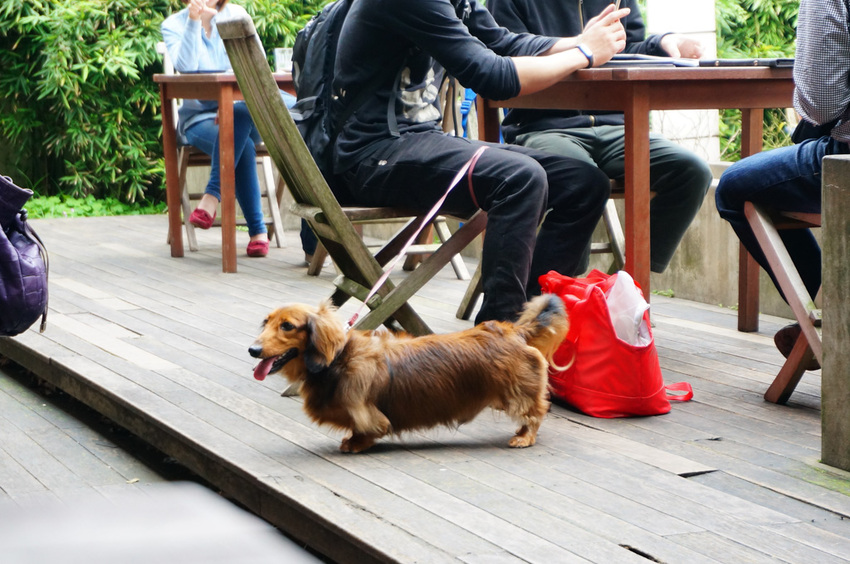 La Villa Wulai 新店烏來，燕子湖湖畔景觀餐廳，人氣質感咖啡館推薦。