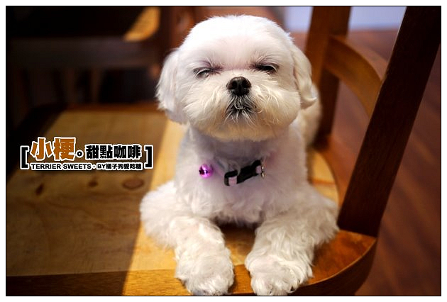 【台中甜溜食記】小梗甜點咖啡：輕柔雲朵舒芙蕾蛋糕~美味不再稍縱即逝