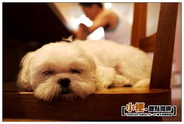 【台中甜溜食記】小梗甜點咖啡：輕柔雲朵舒芙蕾蛋糕~美味不再稍縱即逝